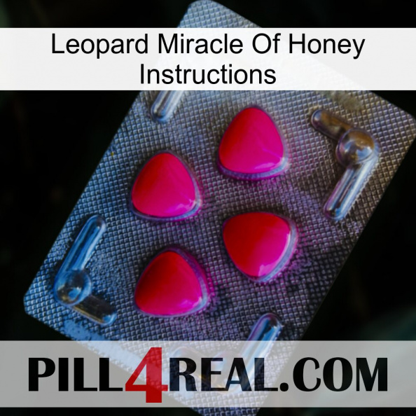 Leopard Miracle Of Honey Instructions 13.jpg